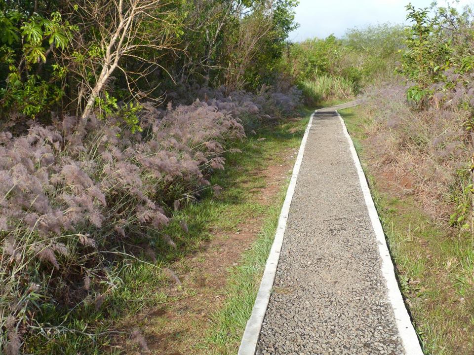 Renuevan el Sendero Macuco en el Parque Nacional Iguazú Argentina gob ar