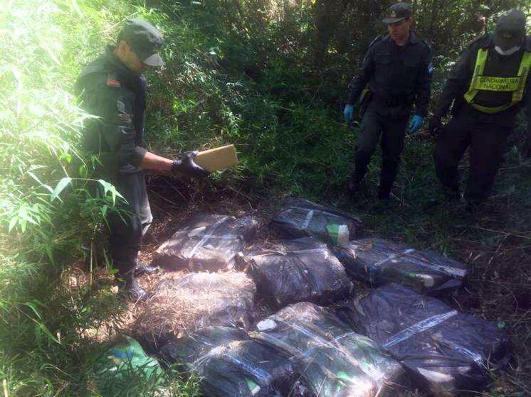 Reciben Un Llamado Y Decomisan 276 Kilos De Marihuana Ocultos En La