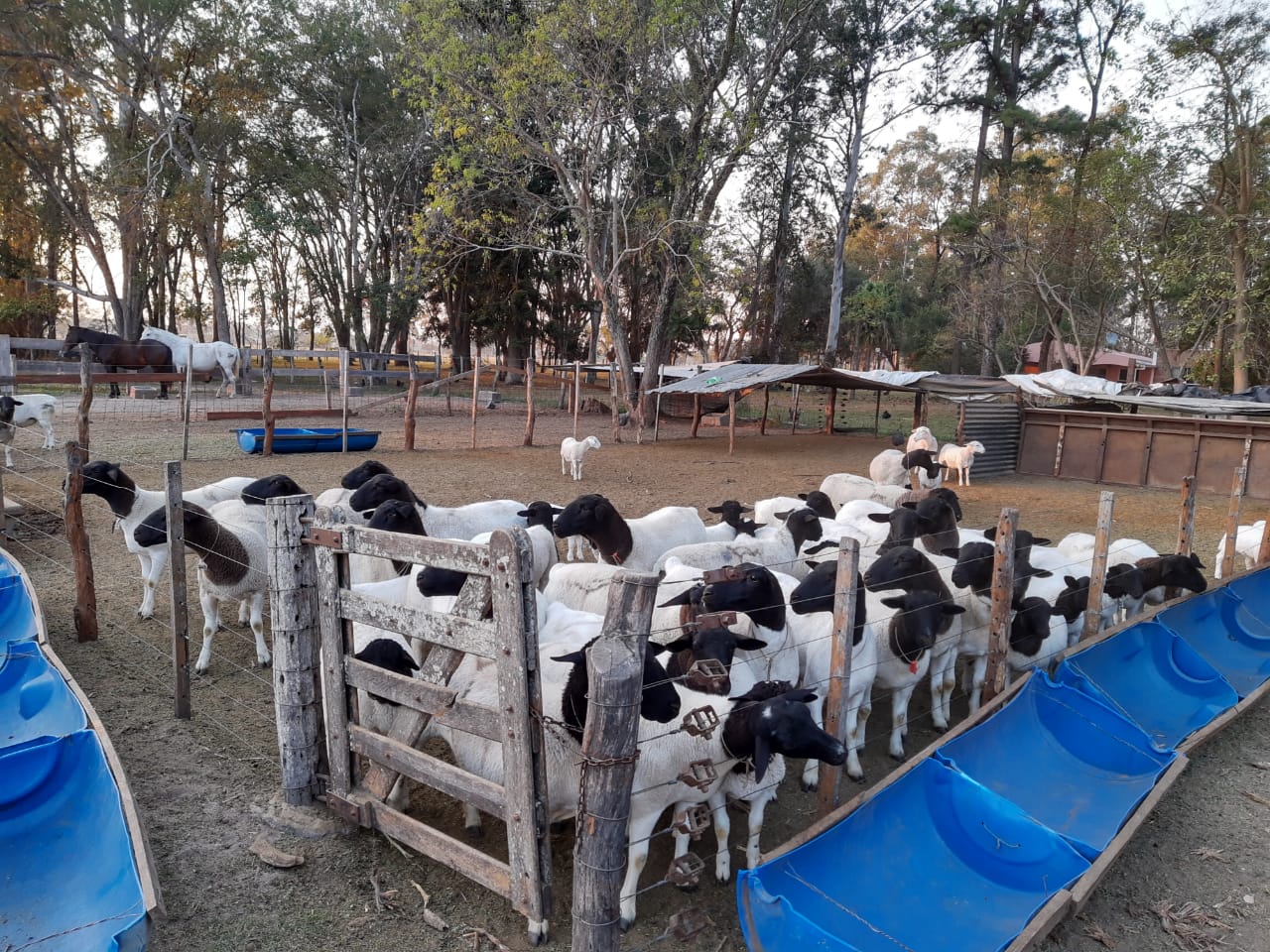 Acuerdo para impulsar la agroecología y la agricultura familiar en