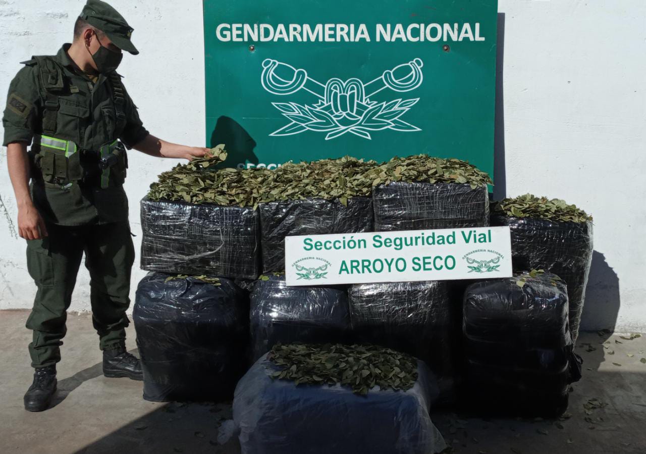 Secuestran 220 Kilos De Hojas De Coca Argentina Gob Ar