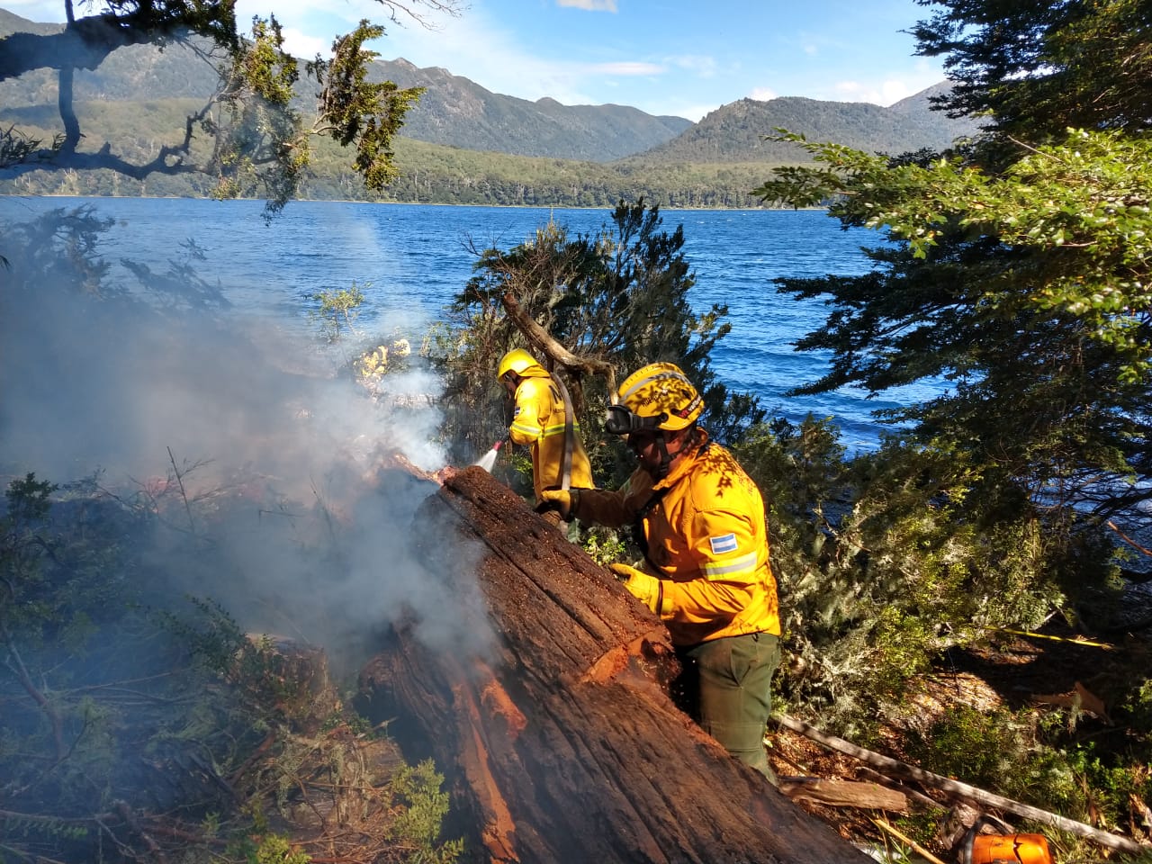 Guardaparques del Parque Nacional Lanín detectaron un incendio