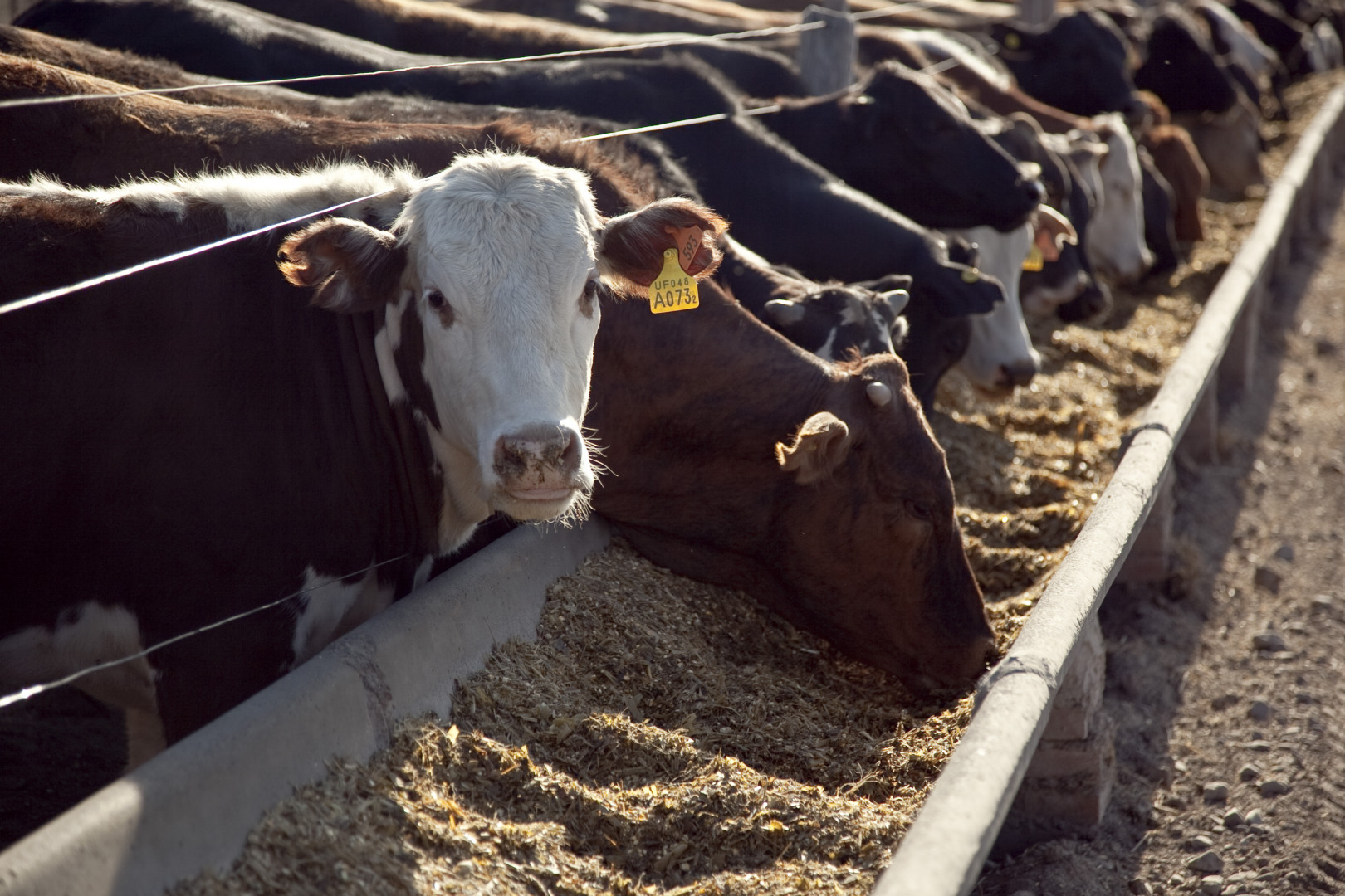 Agricultura Aprob El Procedimiento Para Inscribirse Al Programa De