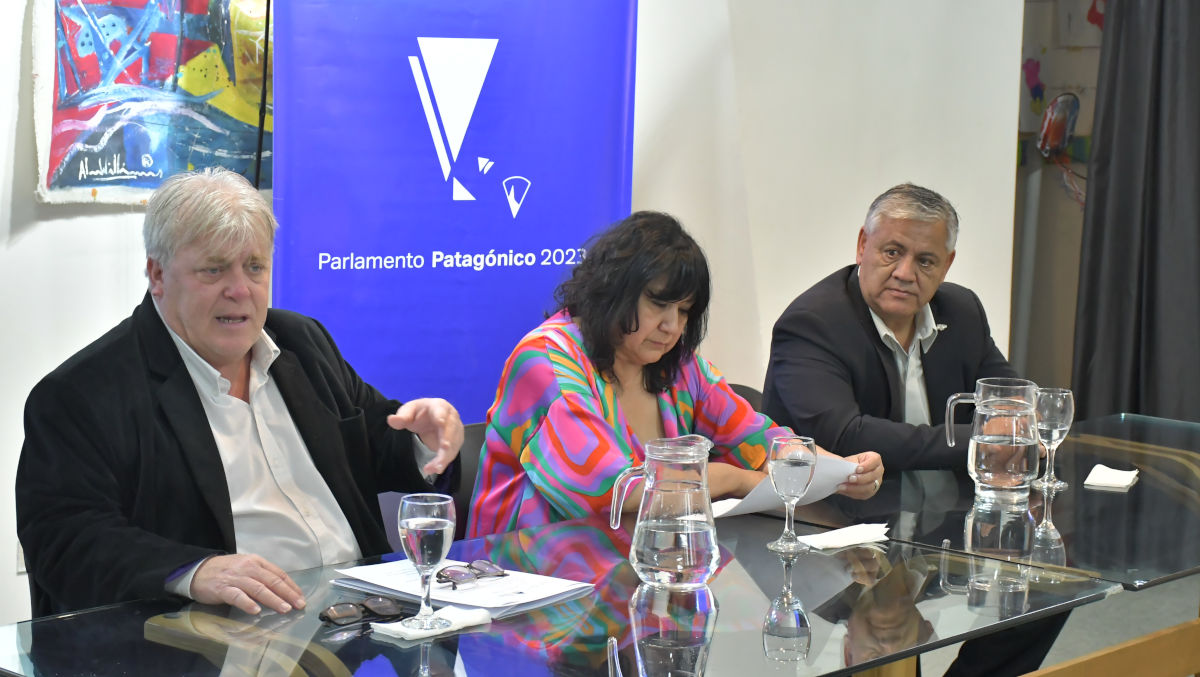 Parlamento Patag Nico Gustavo Vera Disert Sobre Los Proyectos De Ley