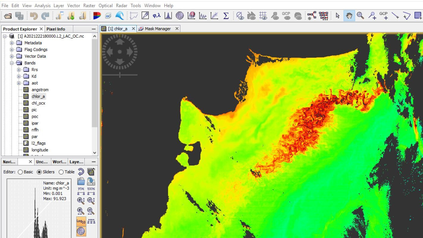 Cursos virtuales 2022 sobre uso de imágenes satelitales Argentina gob ar