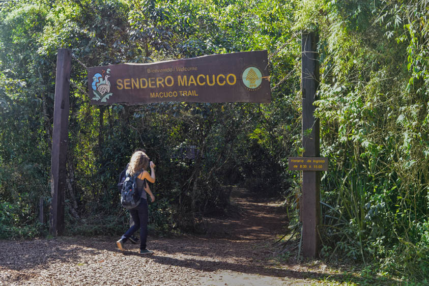 Renuevan El Sendero Macuco En El Parque Nacional Iguaz Argentina Gob Ar