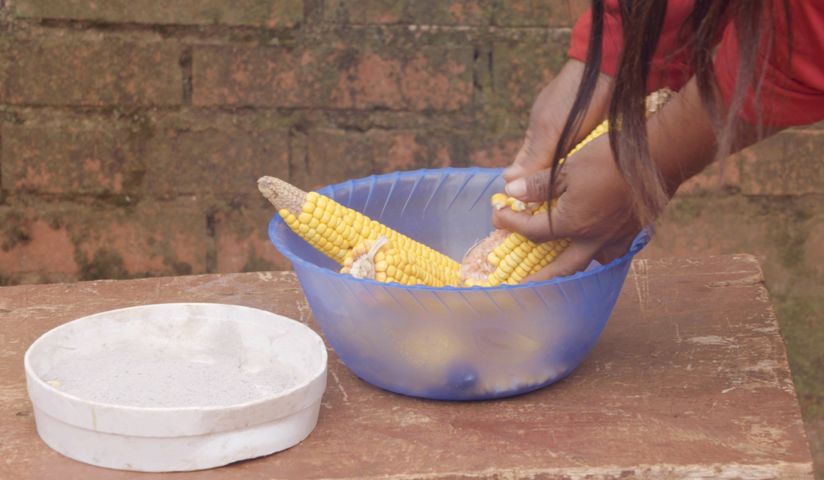 Foto: Mujer desgrana maíz para elaborar Avachikui, Pozo Azul, Misiones. Autor: Fernando Nogueira.