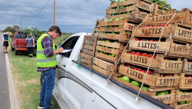 Creció un 170% el control en ruta a transportes de animales vivos y alimentos