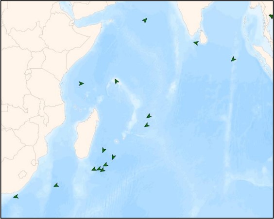 Gráfico de la situación de los buques pesqueros extranjeros en navegación provenientes del Océano Índico que posiblemente arriben a milla 201.