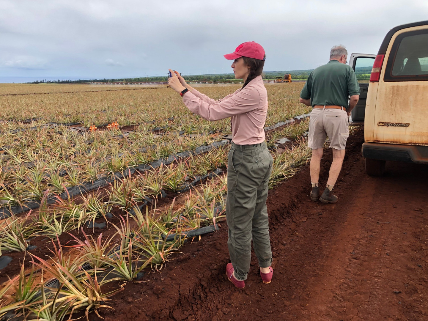 La becaria en la plantación de ananá.