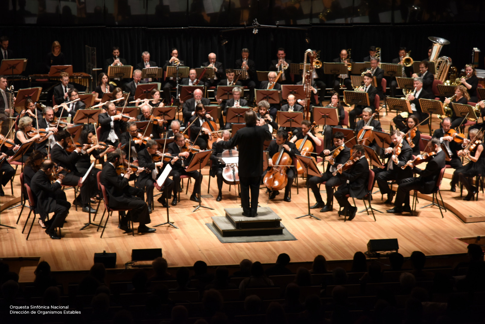 Concierto De La Orquesta Sinfónica Nacional Y El Coro Polifónico Nacional En El Centro Cultural 6115