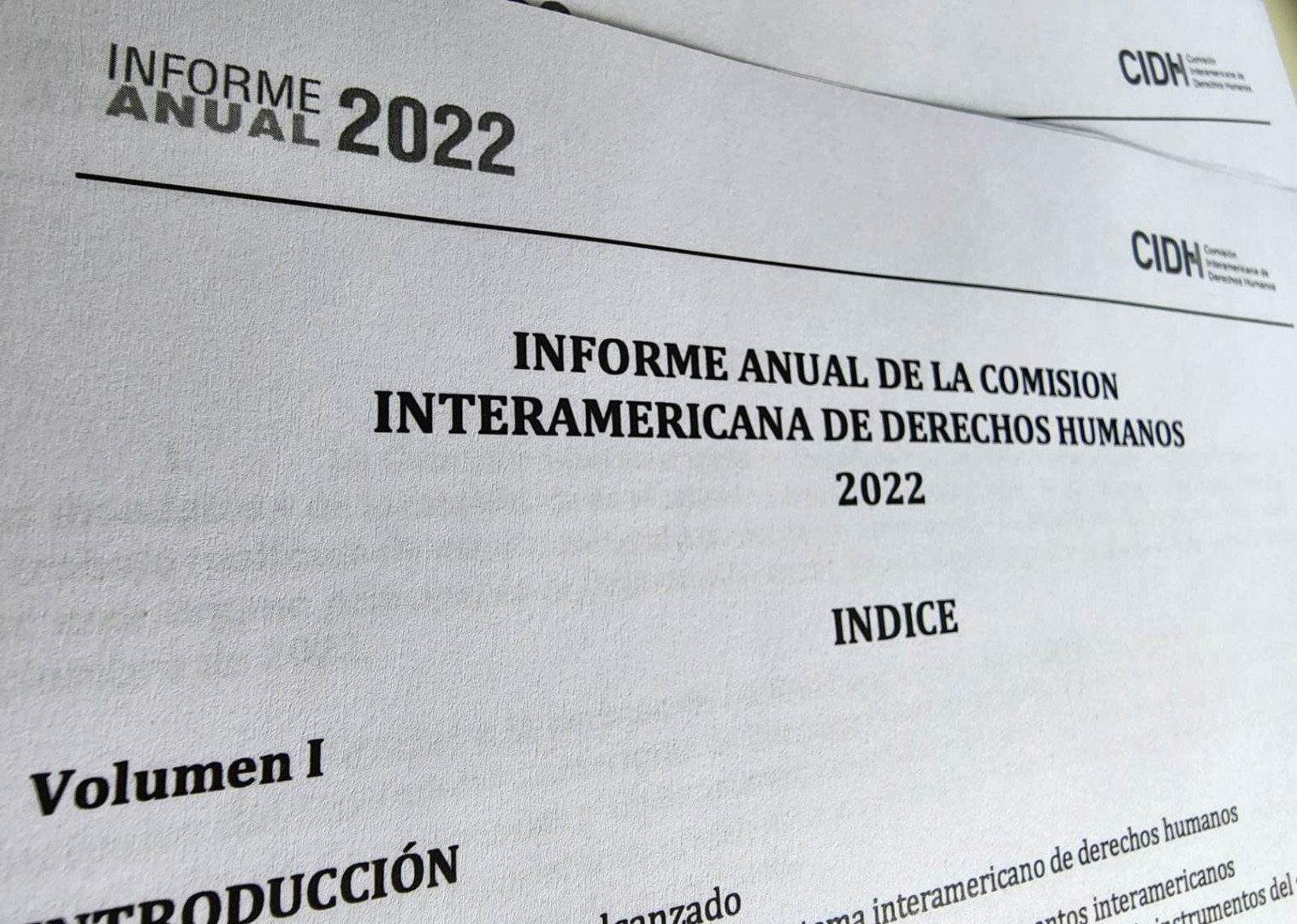 La Comisión Interamericana De Derechos Humanos Destacó La Política De ...