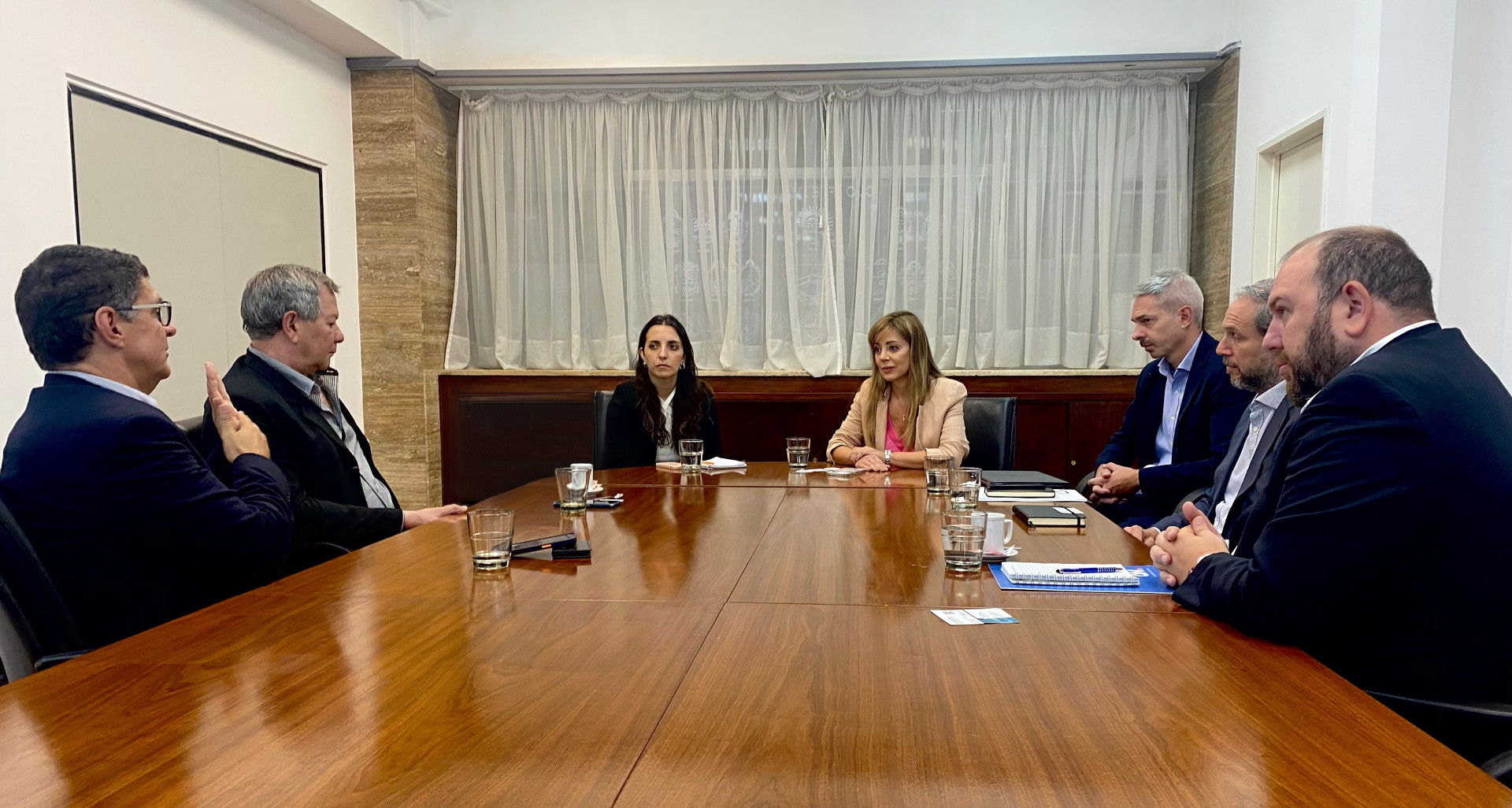 La Secretaria Flavia Royon Recibi A La C Mara Argentina De Energ As