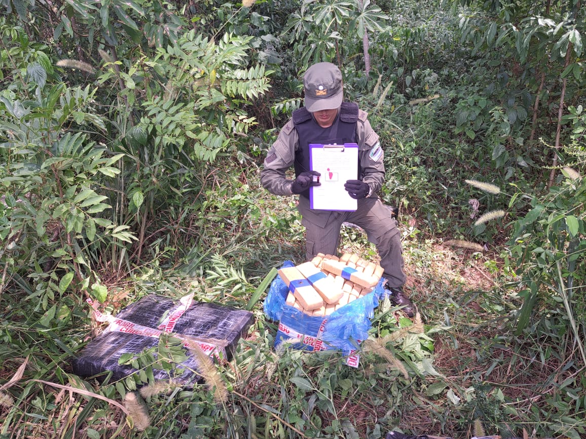 Operativo Ruta Blue” La Gendarmería Secuestró Más De 500 Kilos De Marihuana En Misiones 9106