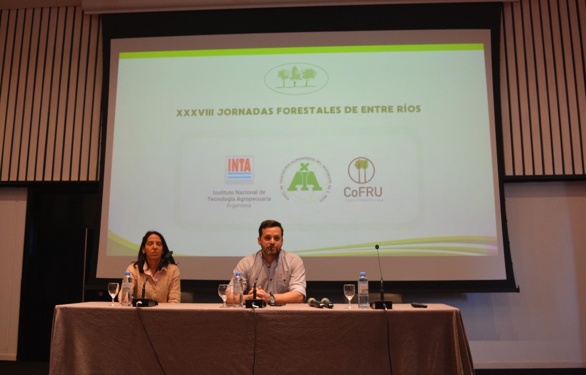 Entre Ríos Forestry Days: new perspectives for the forestry sector