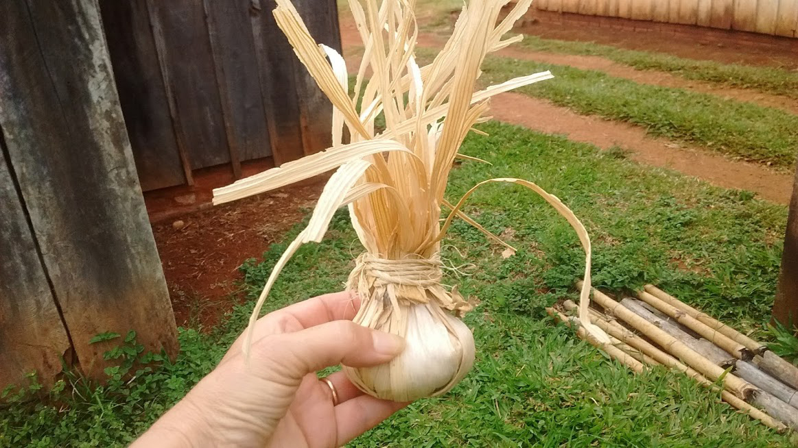 Foto: Pelota de chalas de maíz para jugar mangá, Pozo Azul, Misiones. Autor: Fernando Nogueira. 