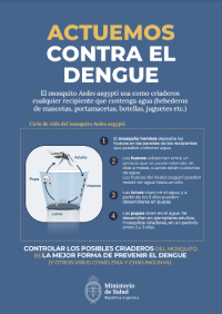 Actuemos contra el Dengue