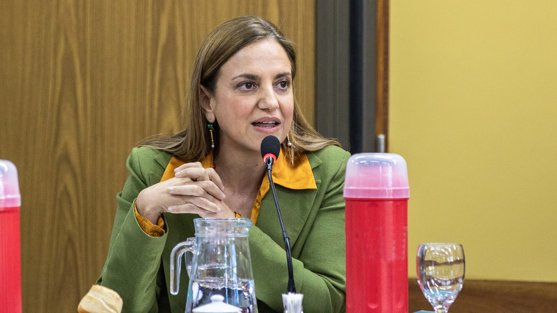 Beatriz Anchorena expone en la reunión del CIN