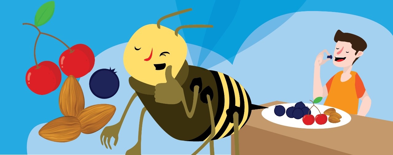 Nota sobre abejas y alimentos en Senasealo