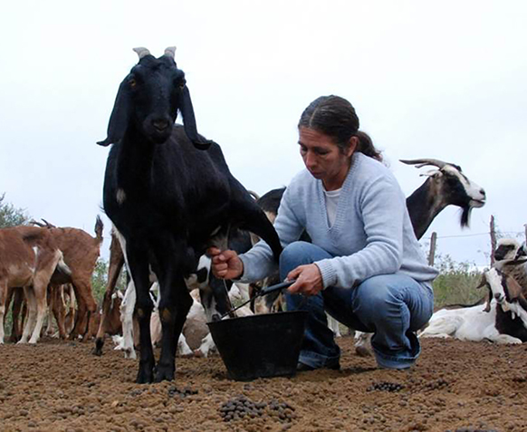 Productora de cabras de la agricultura familiar