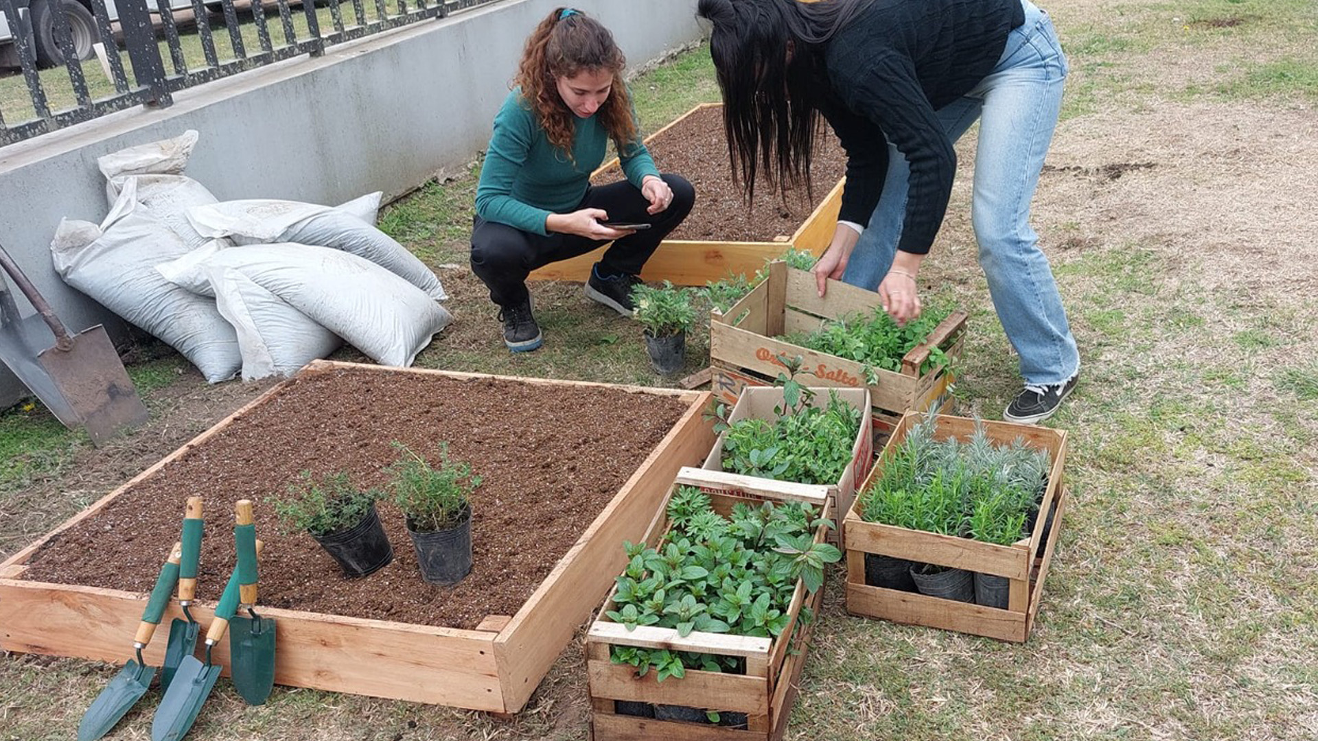 Como parte del proyecto CIC Sustentables se entregaron composteras, materiales y herramientas para huertas, kits de semillas y tachos de separación en origen. 