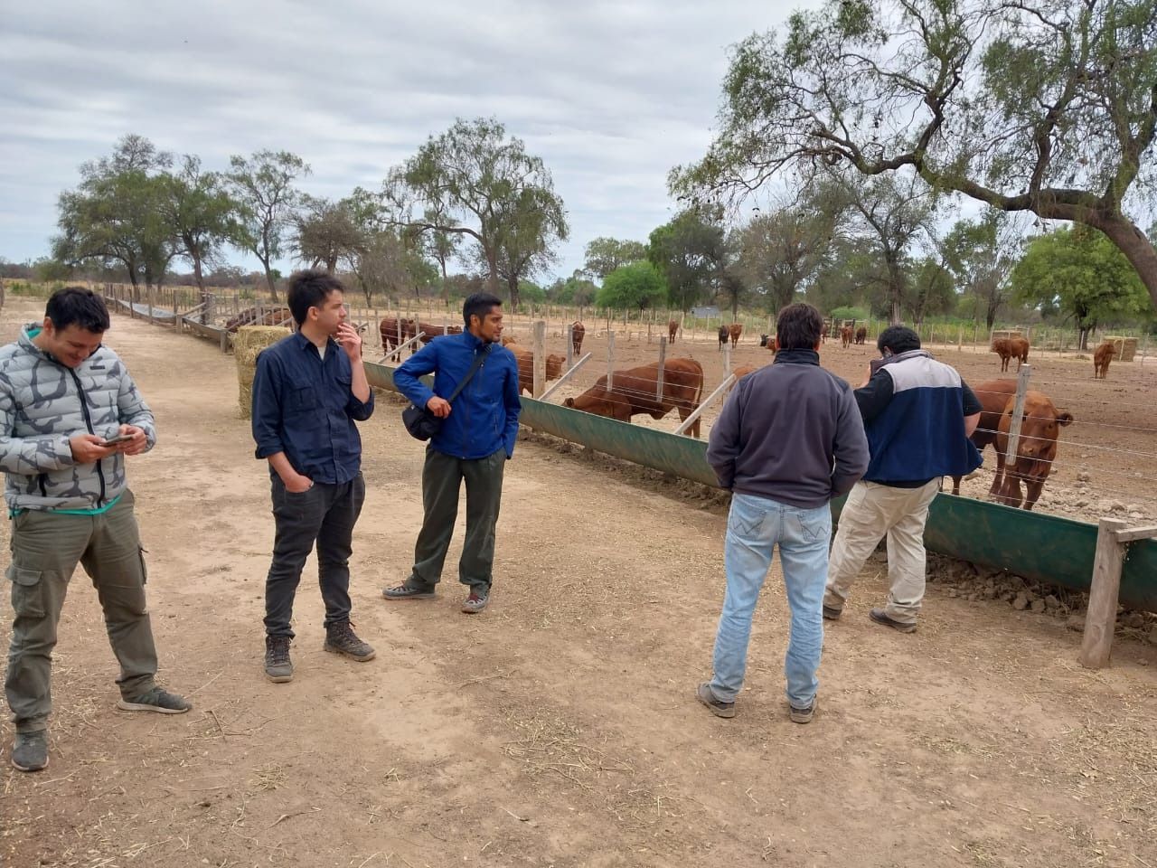 Ganader a y Biodiversidad como componentes estrat gicos para el