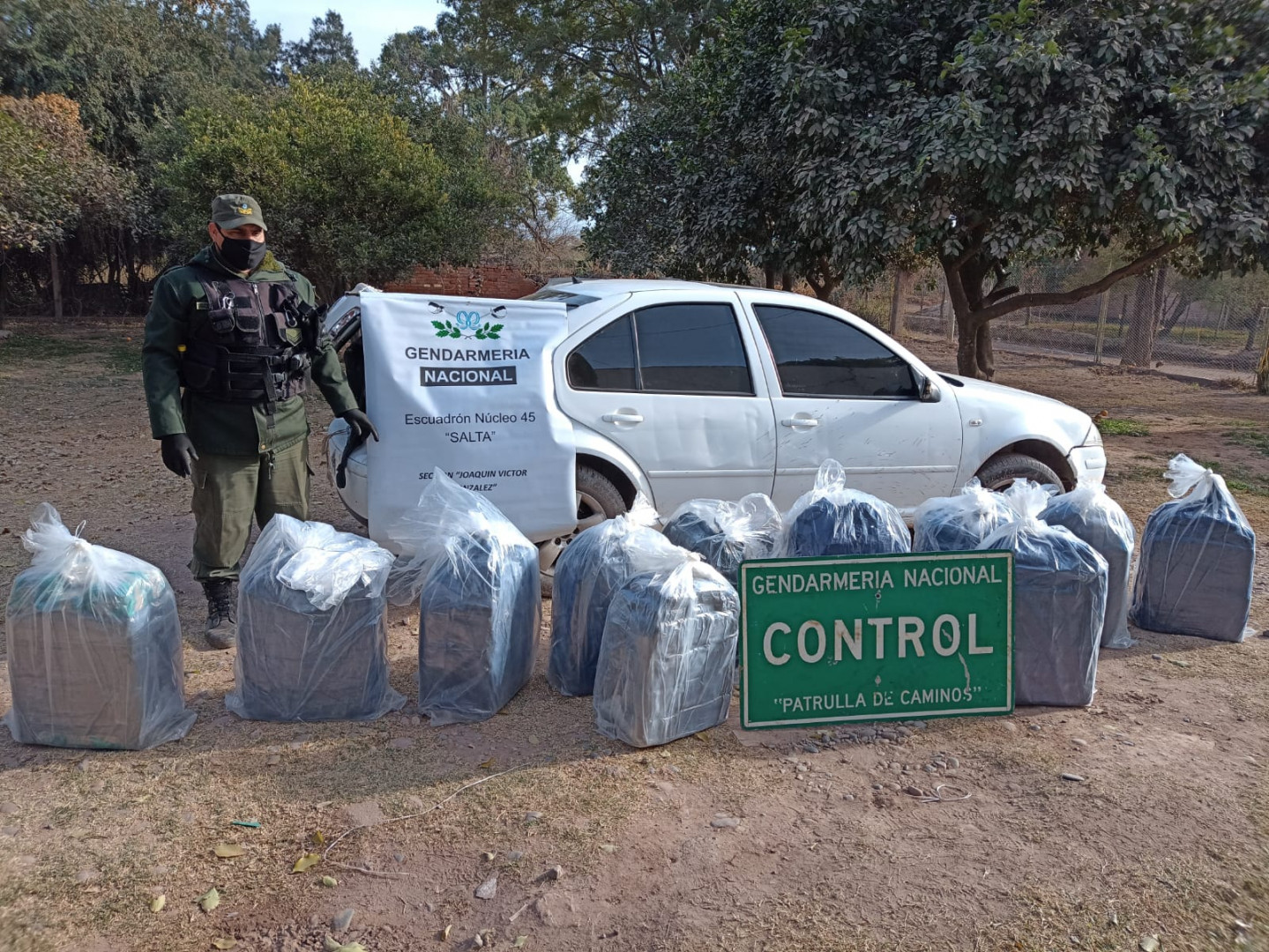 Decomisan 243 Kilos De Hoja De Coca Ocultos En Un Automóvil | Argentina ...