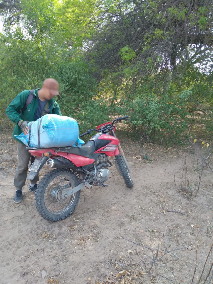 Decomisan 90 Kilos De Hojas De Coca En Dos Procedimientos | Argentina ...