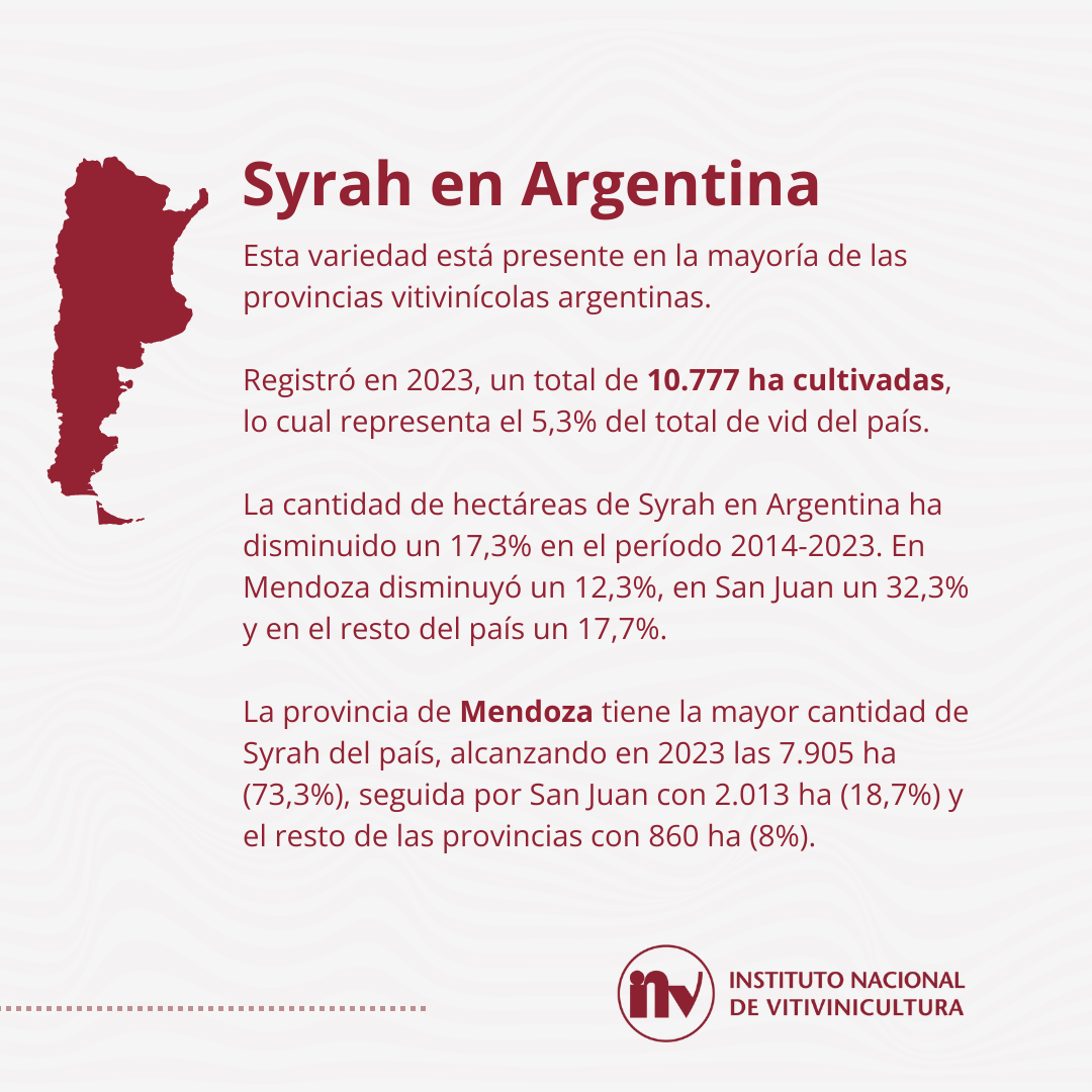 Syrah en Argentina. Datos