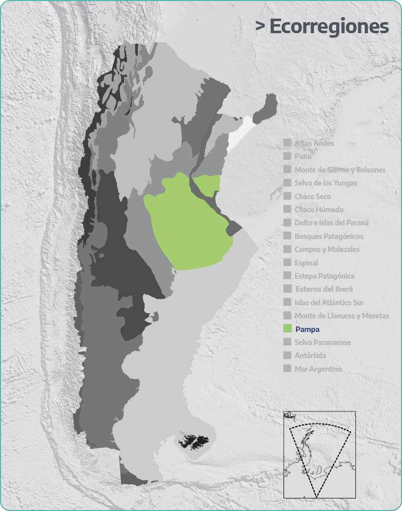 Pampas (Argentina) Soil Map 1976 Shaded Relief Map In 2023 Relief Map ...