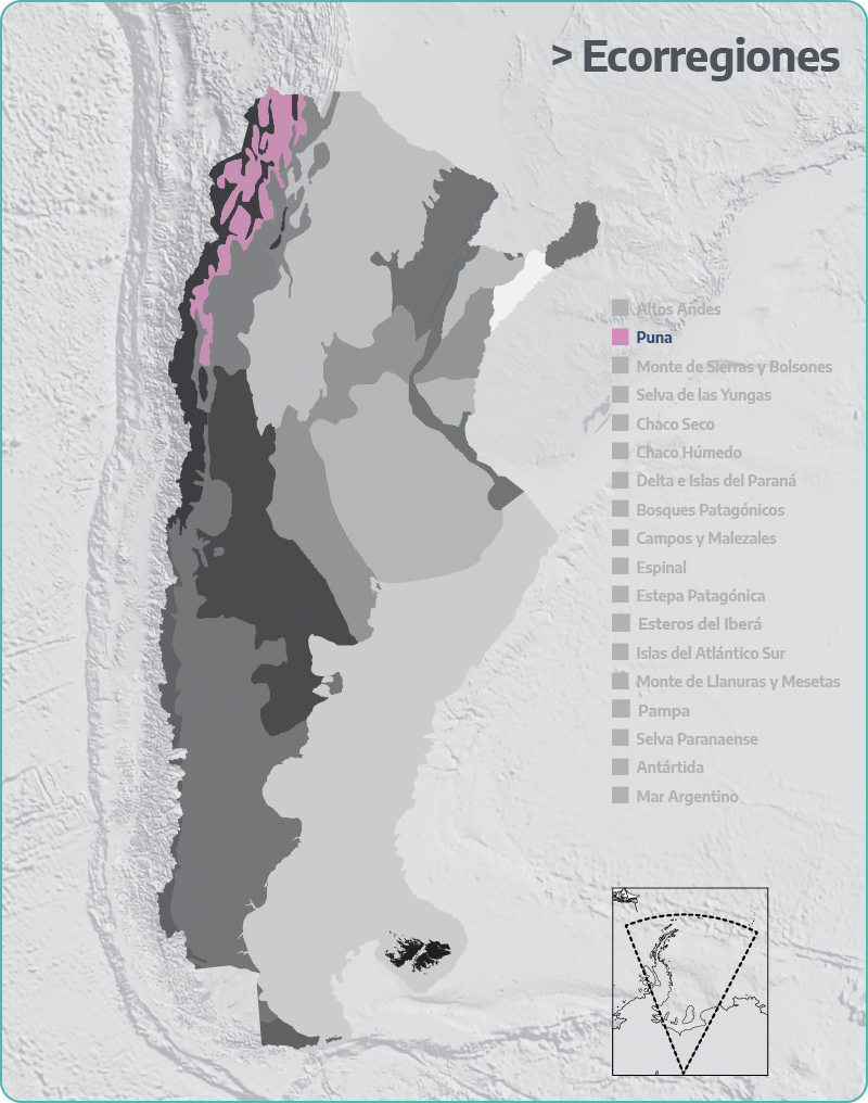 puna-argentina-gob-ar