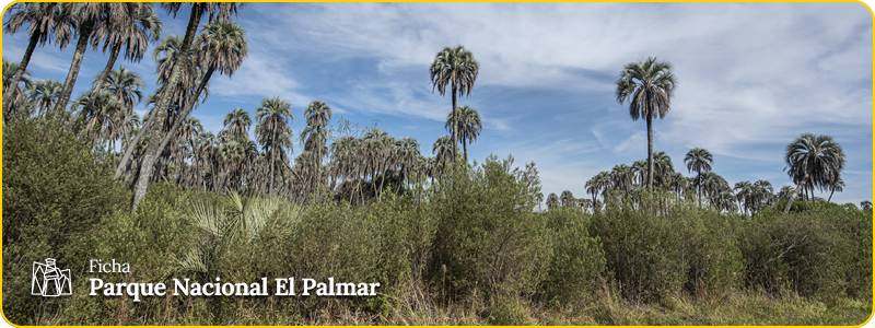 encabezado ficha - PN El Palmar