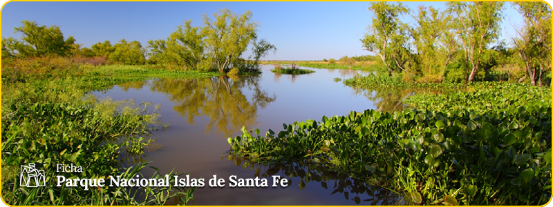 Encabezado ficha - PN Islas de Santa Fe