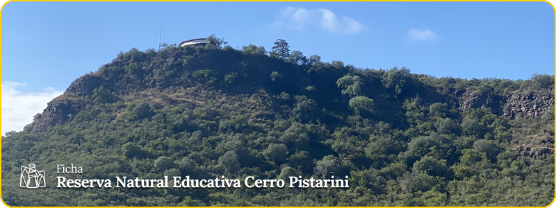 encabezado ficha - RNEd Cerro Pistarini