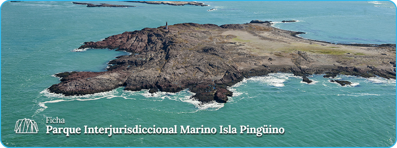 Encabezado Ficha PIM Isla Pingüino