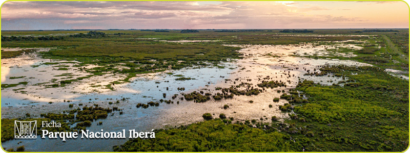 Encabezado ficha Parque Nacional Iberá
