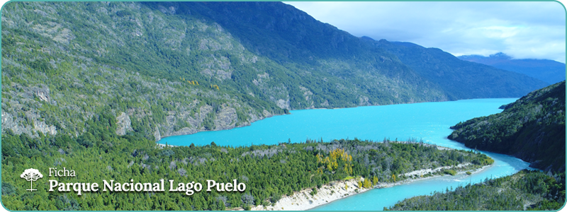 Encabezado PN Lago Puelo