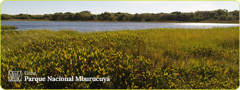 Encabezado ficha PN Mburucuyá