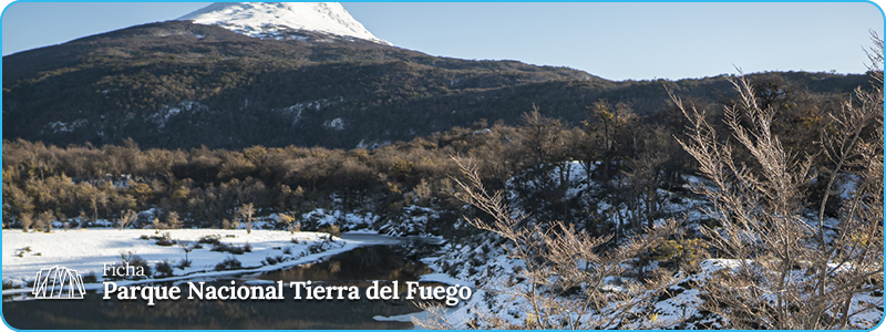 Encabezado Ficha PN Tierra del Fuego