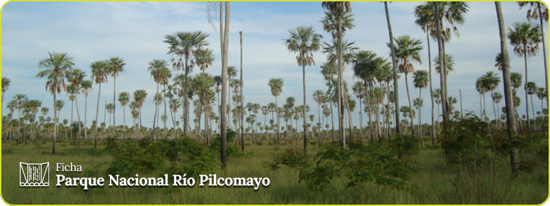 Encabezado ficha PN Río Pilcomayo