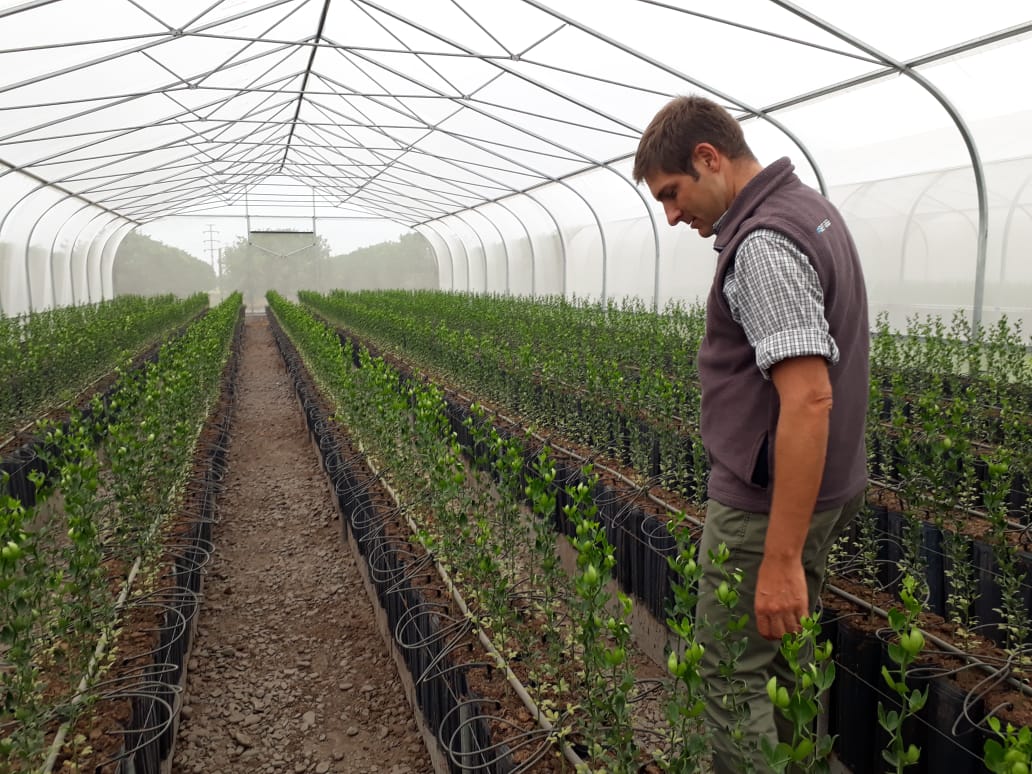 Francisco realiza una inspección del RENFO en el vivero Citrusville