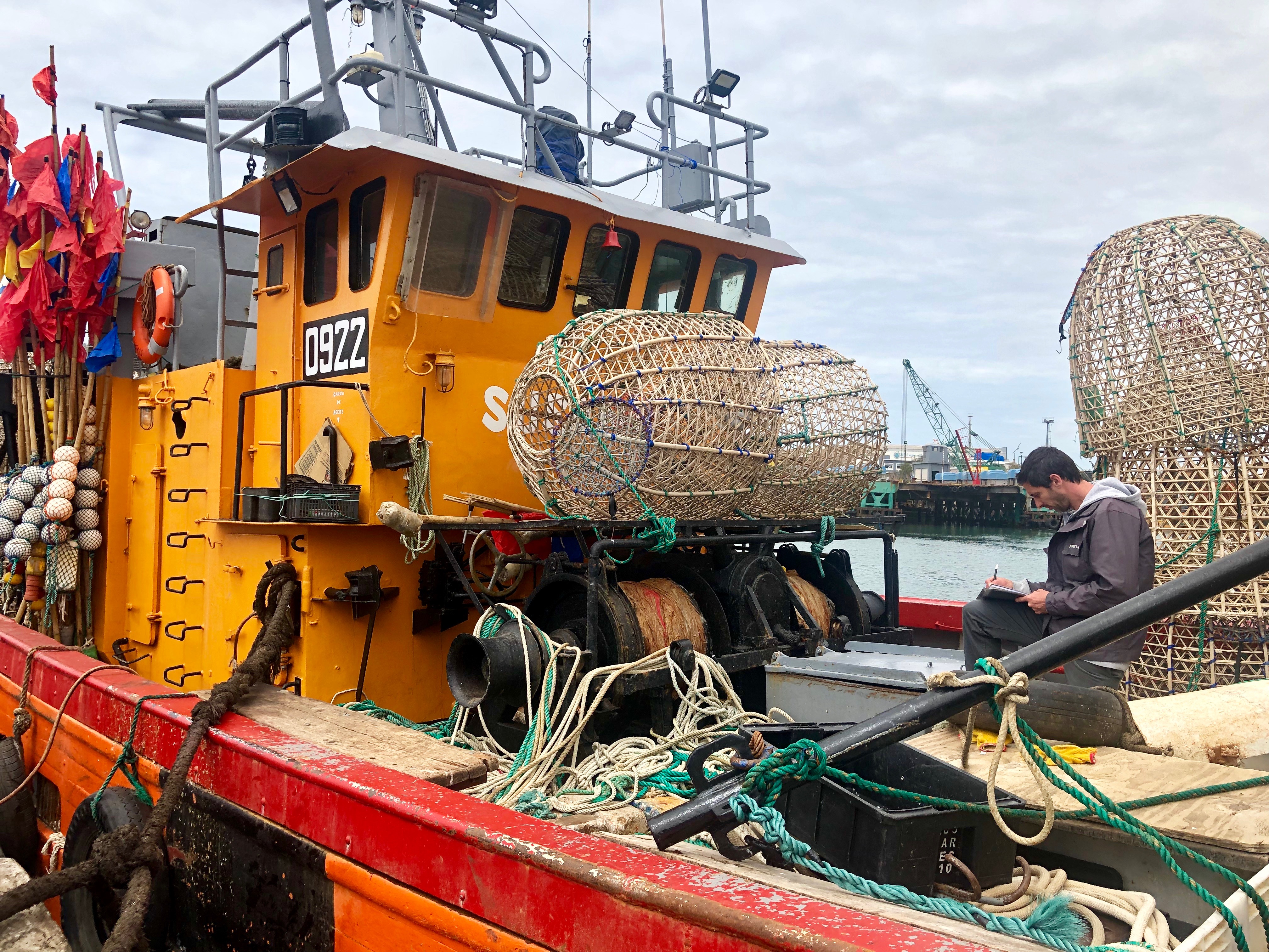 Gonzalo controla las planillas de inspección de descarga de pescado fresco en el Puerto Mar del Plata