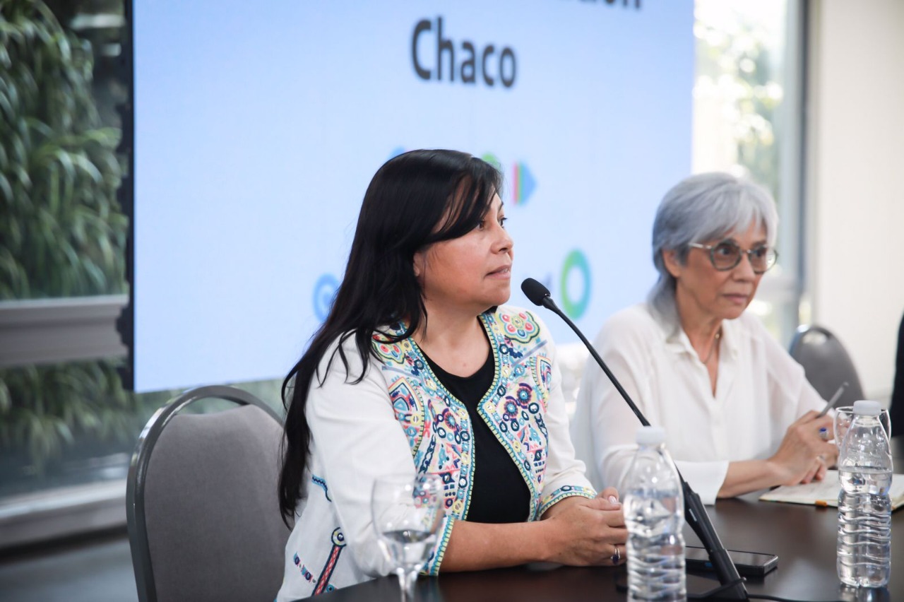 Nancy Sotelo expone sentada en el panel de la presentación del Mapa en Chaco