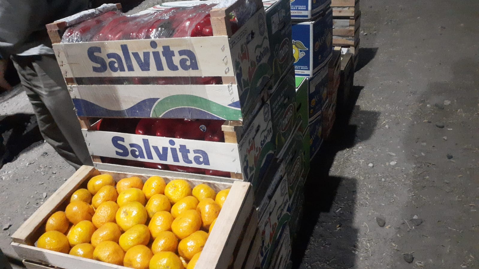 Se Donaron 1235 Kg De Frutas Y Hortalizas Decomisadas Y Aptas Para El Consumo Argentinagobar 7654