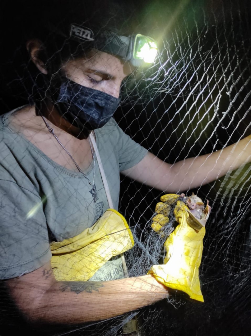 Investigación sobre murciélagos en Campo San Juan