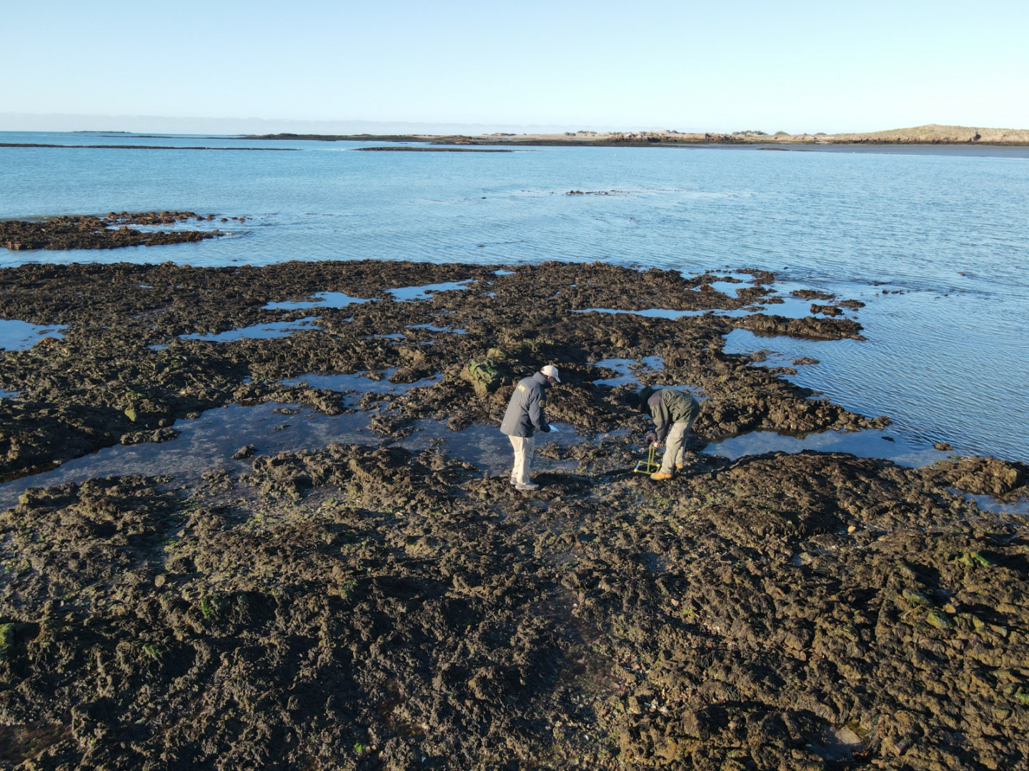 Investigación y relevamientos en PIM Isla Pingüino