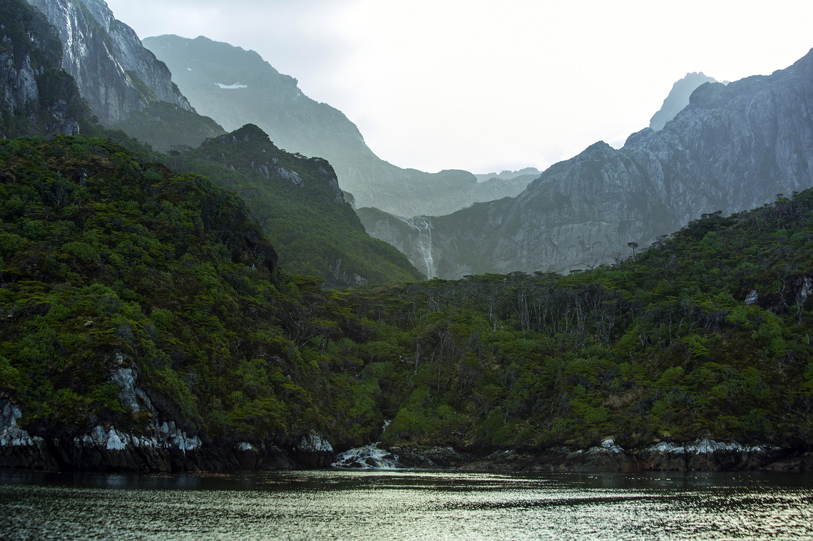 La Isla de los Estados ya es reserva natural | Argentina.gob.ar