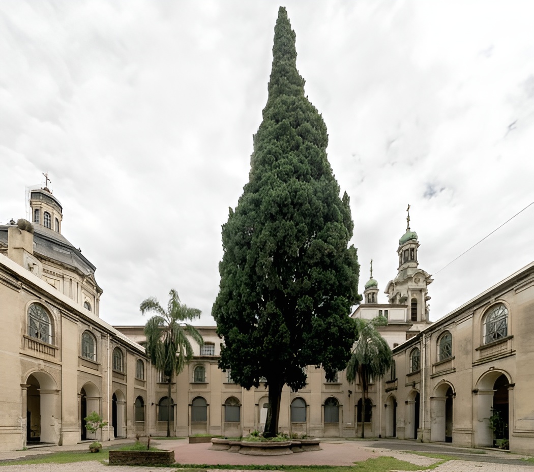 Foto: Luis Picarelli