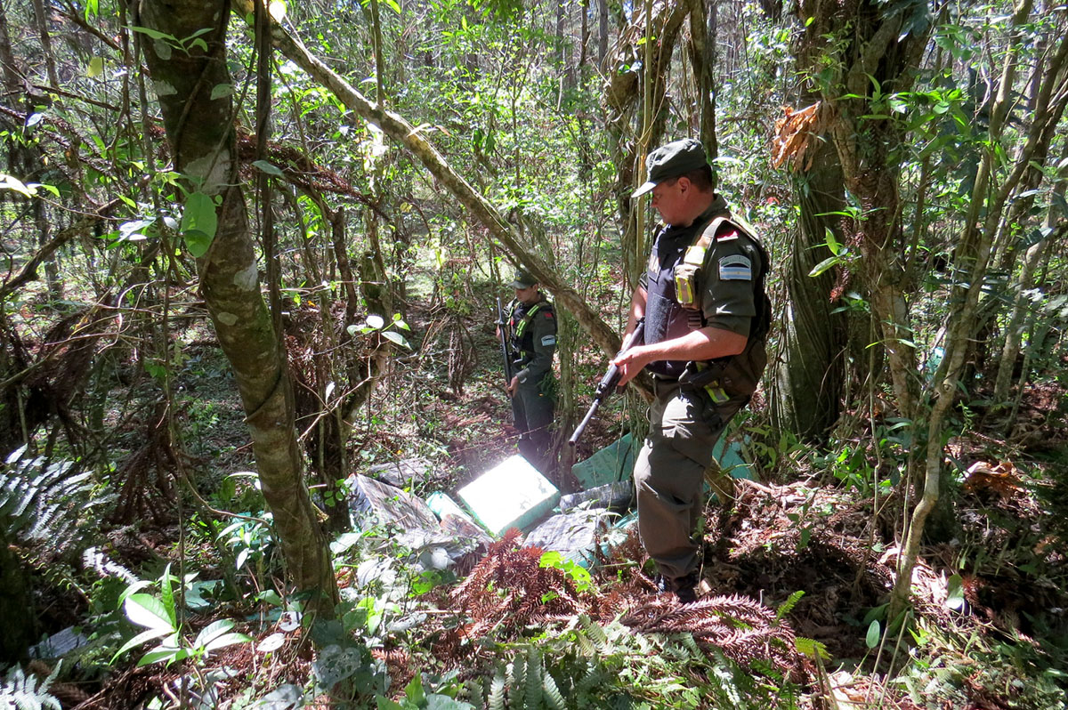 800 kilos de marihuana en Misiones.