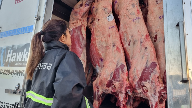 Creció un 170% el control en ruta a transportes de animales vivos y alimentos