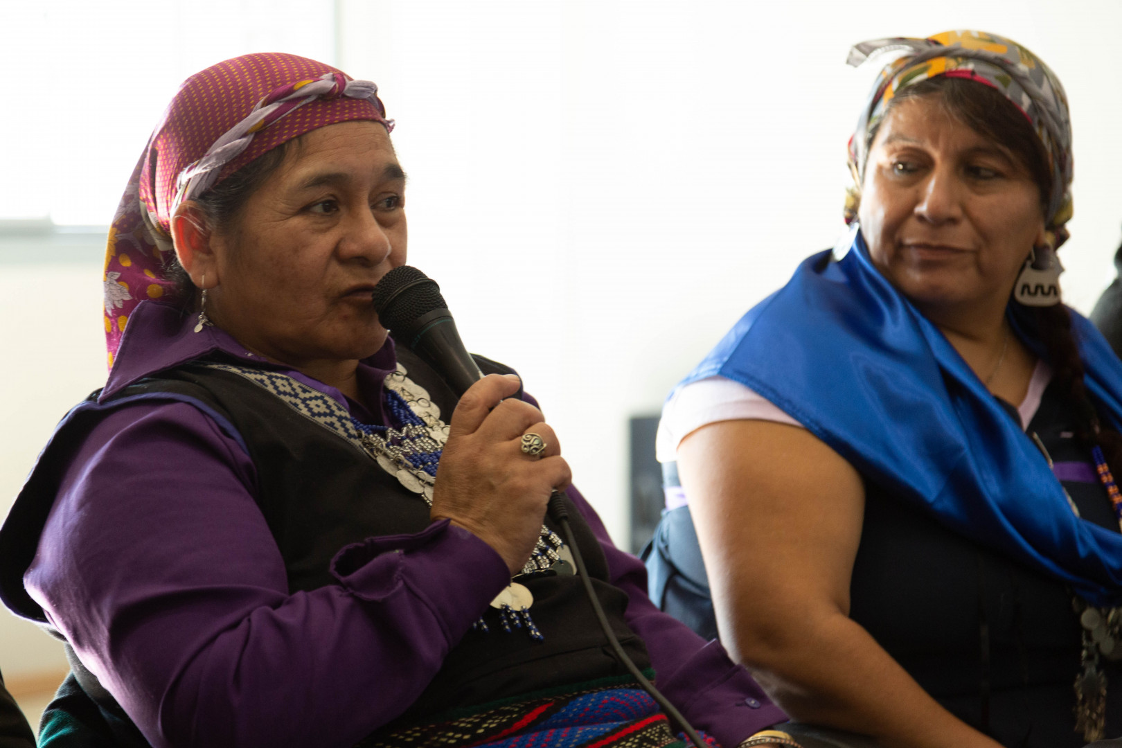 Imagen de una representante de la comunidad mapuche tomando la palabra